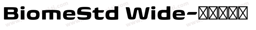 BiomeStd Wide字体转换